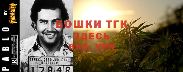 apvp Алексин