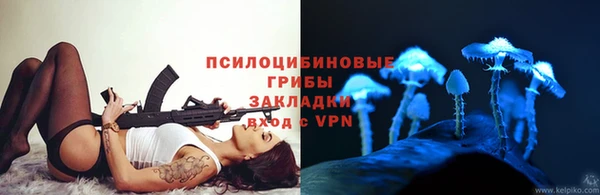 apvp Алексин
