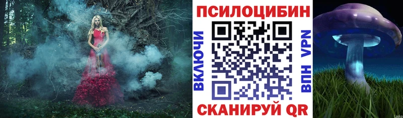 Псилоцибиновые грибы GOLDEN TEACHER Сортавала