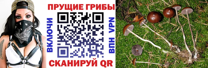 MEGA вход  Сортавала  Псилоцибиновые грибы мухоморы 